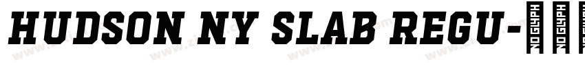 Hudson NY Slab Regu字体转换